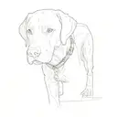 a black labrador retriever tattoo design idea