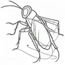 grasshopper tattoo design idea