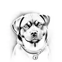 Rottweiler dog with letters s r c tattoo design idea