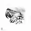 macaw tattoo design idea