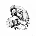 macaw tattoo design idea