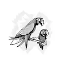 macaws tattoo design idea