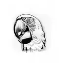 macaws tattoo design idea