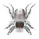 spider shedding skin tattoo design idea