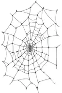 Spider web tattoo design idea
