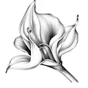 calla lilly tattoo design idea