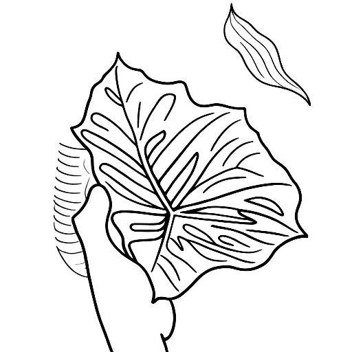 monstera leaf  tattoo design idea