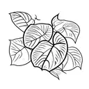 monstera leaf  tattoo design idea