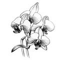 orchids with the word strength tattoo design idea