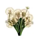 Dandelion tattoo design idea