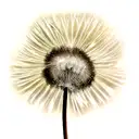 Dandelion tattoo design idea