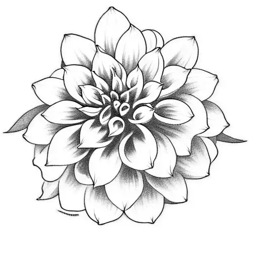 Looking for a black and white tattoo design of a Dahlia flower in Polynesian style for my tricep. Dahlia as the focal po tattoo design idea