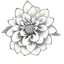 Looking for a black and white tattoo design of a Dahlia flower in Polynesian style for my tricep. Dahlia as the focal po tattoo design idea