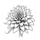 Looking for a black and white tattoo design of a Dahlia flower in Polynesian style for my tricep. Dahlia as the focal po tattoo design idea