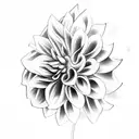 Looking for a black and white tattoo design of a Dahlia flower in Polynesian style for my tricep. Dahlia as the focal po tattoo design idea