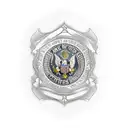 U.S. constitution  tattoo design idea