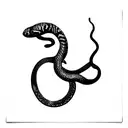 Peruvian red tail boa constrictor wrapped around honeysuckle flowers tattoo design idea