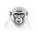 monkey tattoo design idea