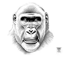 gorilla and percussion tattoo design idea
