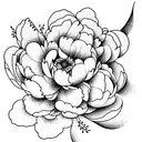 Peony tattoo design idea