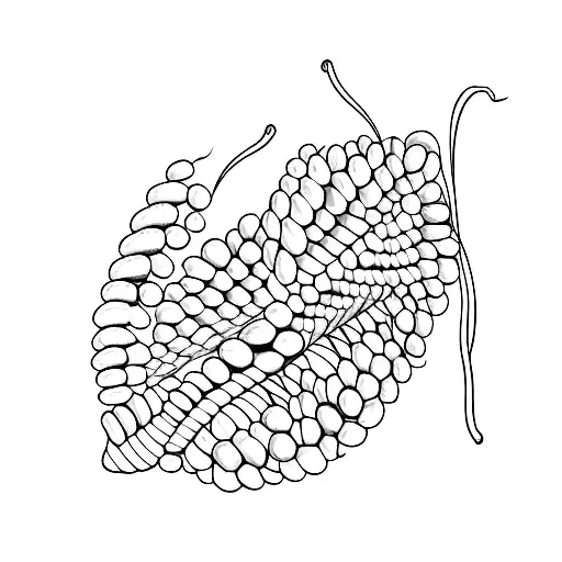 A single continuous line forming a pea pod tattoo design idea
