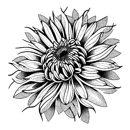 Chrysanthemum tattoo design idea