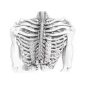 The spine and ribs are drawn in ink tattoo design idea