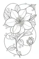 November birth flower and nova star  tattoo design idea