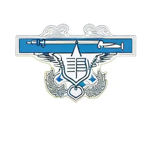 a badge of the air force tattoo design idea
