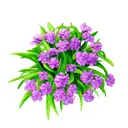 purple hyacinth tattoo design idea