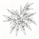 olive branches crossing each other tattoo design idea