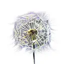 dandelion fluff tattoo design idea
