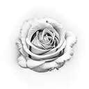 Corvo com Rosas tattoo design idea