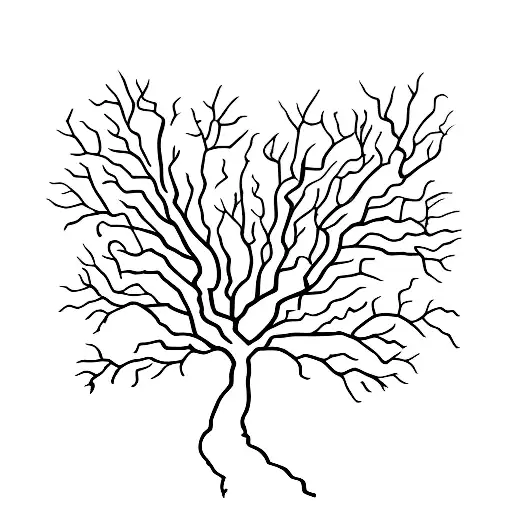 A minimalist tattoo design featuring a Shiraz cypress tree intertwined with traditional Iranian patterns tattoo design idea