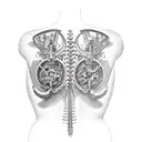 steampunk back tattoo design idea