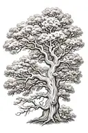 southern live oak  tattoo design idea