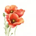 poppies tattoo design idea