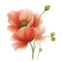 poppies tattoo design idea