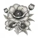 poppies tattoo design idea