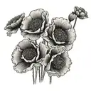 poppies tattoo design idea
