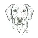 realistic dog nose without snout. "IVY" written above it.  tattoo design idea