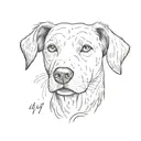 realistic dog nose without snout. "IVY" written above it.  tattoo design idea
