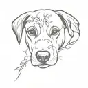realistic dog nose without snout. "IVY" written above it.  tattoo design idea