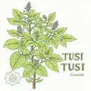 Tulsi with name tattoo design idea