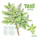 Tulsi with name tattoo design idea