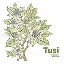 Tulsi with name tattoo design idea