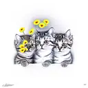3 headed cute cat with flowers around tattoo design idea