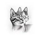 3 headed cats  tattoo design idea