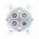 Harmonious yin-yang: subtle masculinity as geometric shape, delicate feminism as floral pattern—balance both qualities tattoo design idea