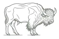 buffalo tattoo design idea